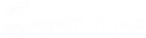 default-logo